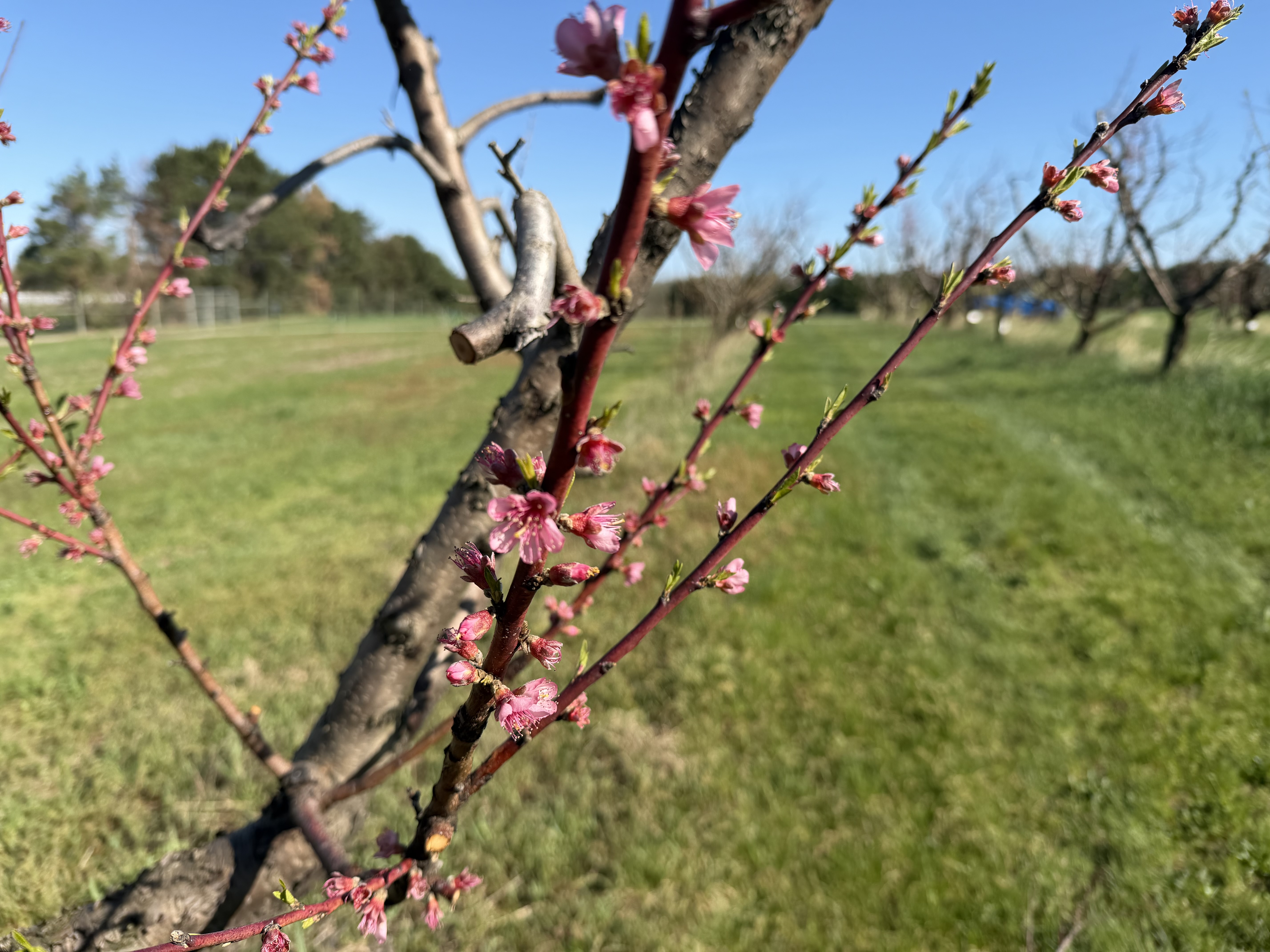 Cresthaven 24-22-26_Dan Dick.JPG